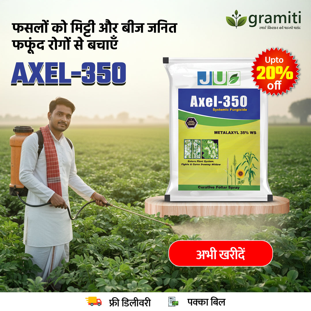 AXEL 350 | Metalaxyl 35 % WS