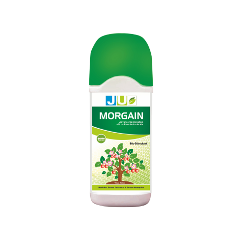 JU Morgain | Biostimulant