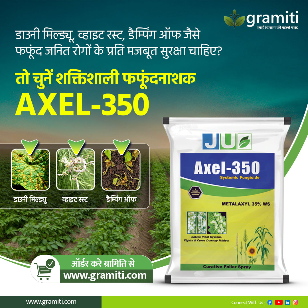 AXEL 350 | Metalaxyl 35 % WS